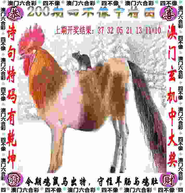 【楠楠自语】参差多态